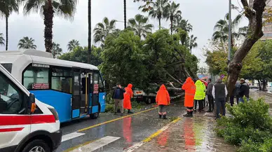 Mersin’de Şiddetli Yağış Felaketi: Devrilen Ağaç 3 Aracı Altına Aldı!
